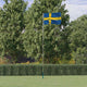 Drapeau Vidaxl avec drapeau suédois 5,55 m en aluminium