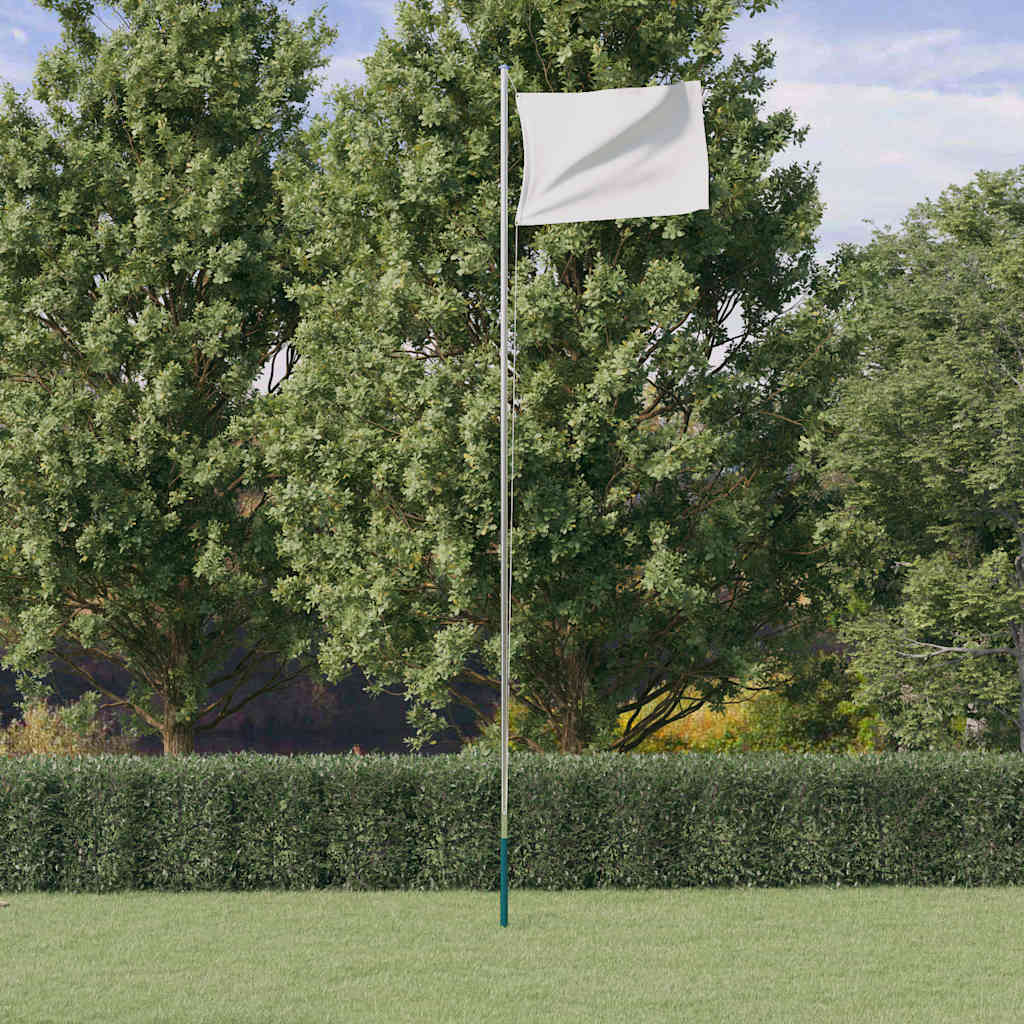 Vidaxl Flagpole divisible 6,23 m en aluminium argent coloré