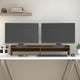 Vidaxl Monitor standard 100x24x16 cm