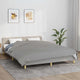 VIDAXL FAIBLAGE COUVERTURE 200X200 cm 9 kg de gris de tissu