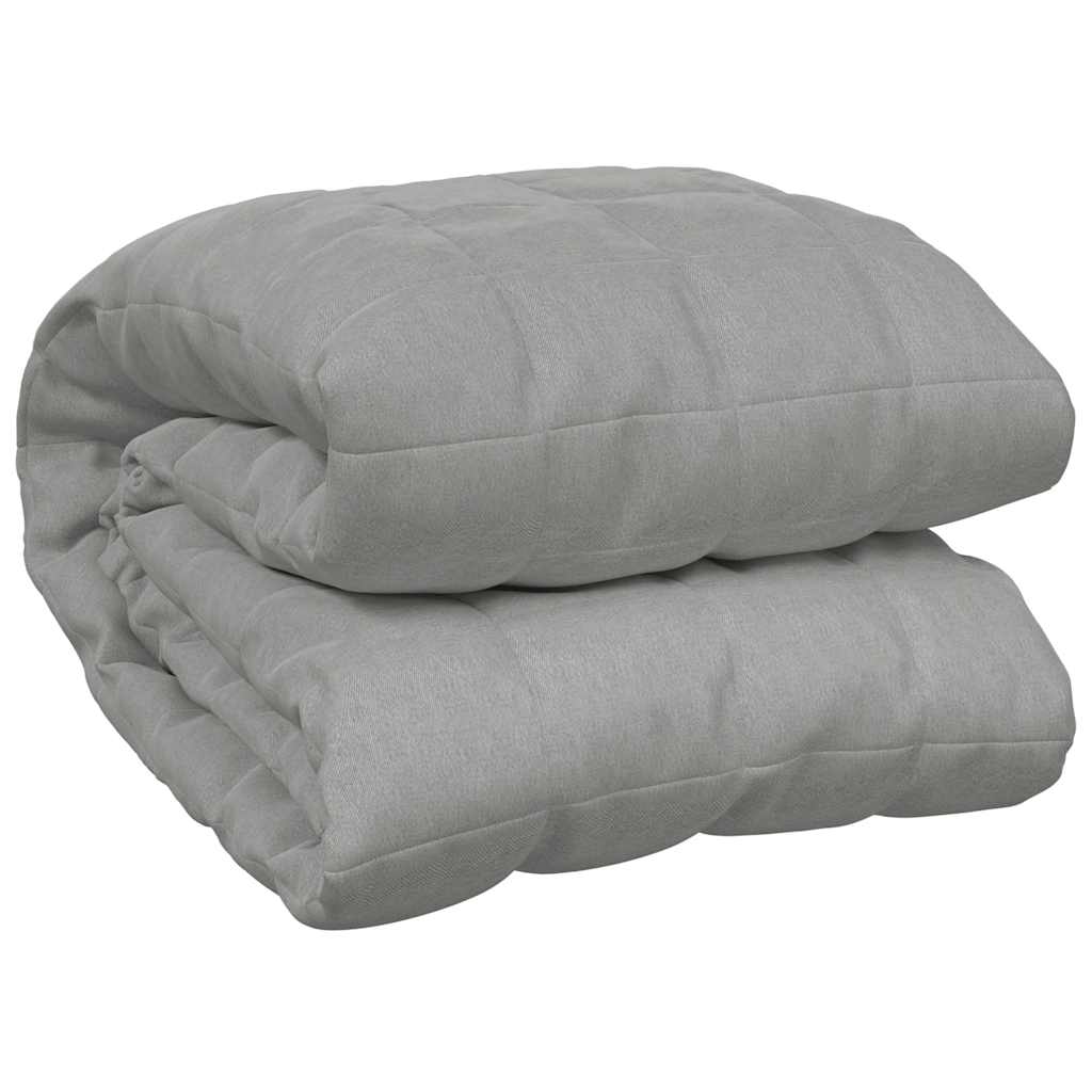 VIDAXL FAIBLAGE COUVERTURE 220X260 cm 15 kg de gris de tissu