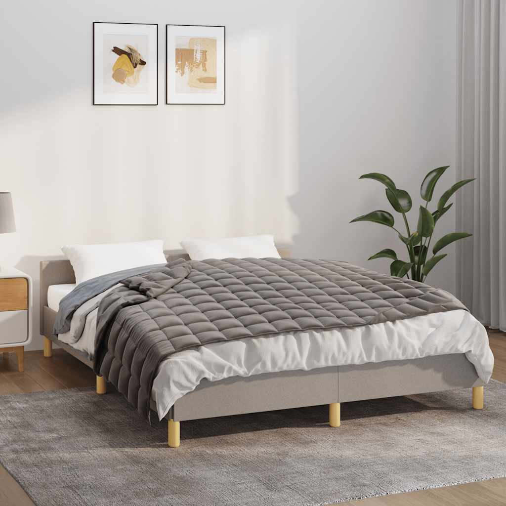 VIDAXL FAIBLAGE COUVERTURE 138X200 cm 10 kg de gris de tissu