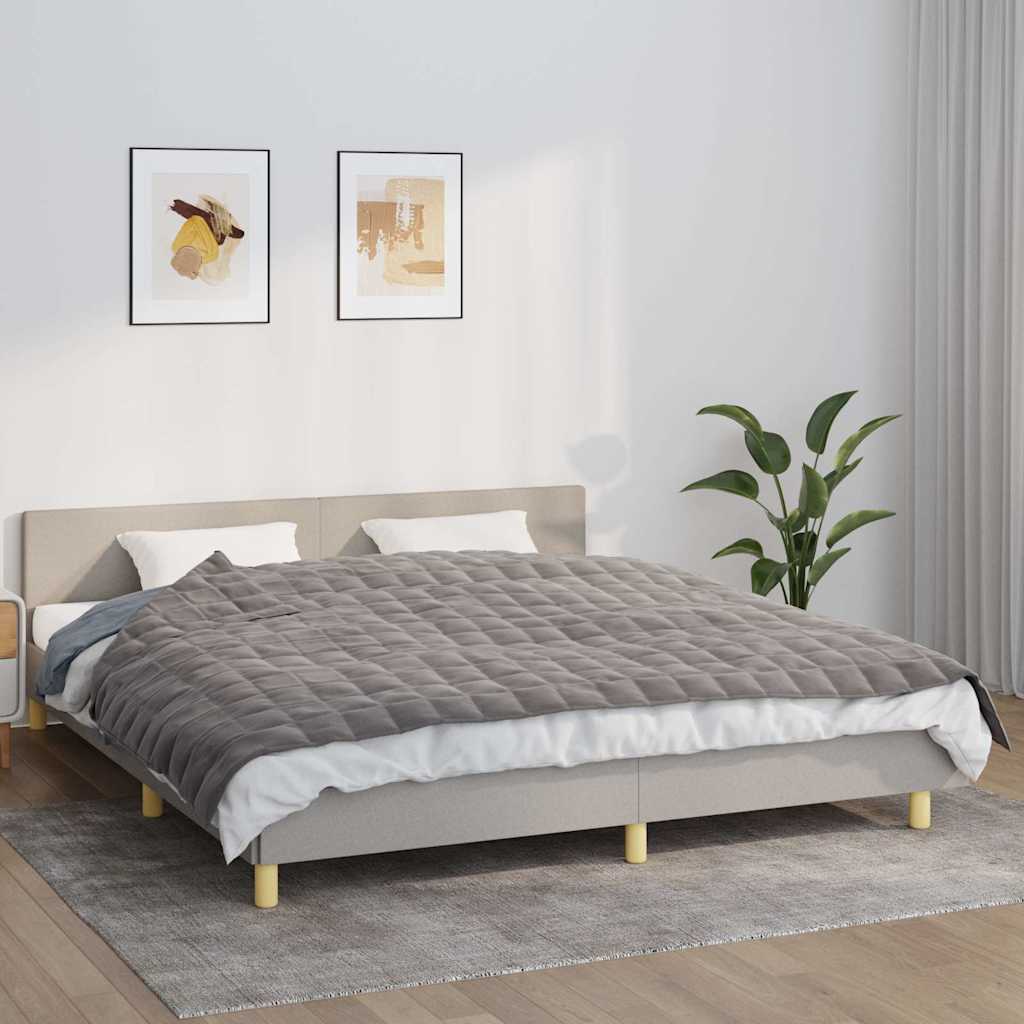 VIDAXL FAIBLAGE COUVERTURE 155X220 cm 7 kg de gris de tissu