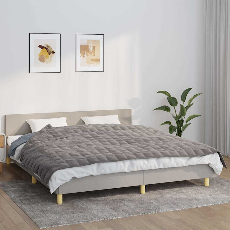 VIDAXL FAIBLAGE COUVERTURE 155X220 cm 7 kg de gris de tissu