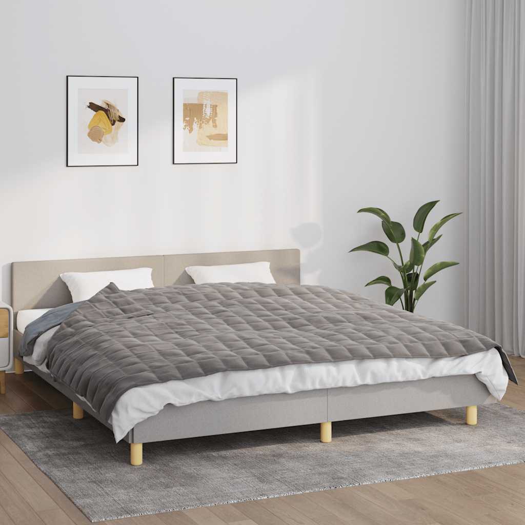 VIDAXL FAIBLAGE COUVERTURE 155X220 cm 11 kg tissu gris