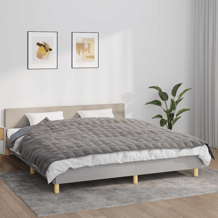 VIDAXL FAIBLAGE COUVERTURE 155X220 cm 11 kg tissu gris