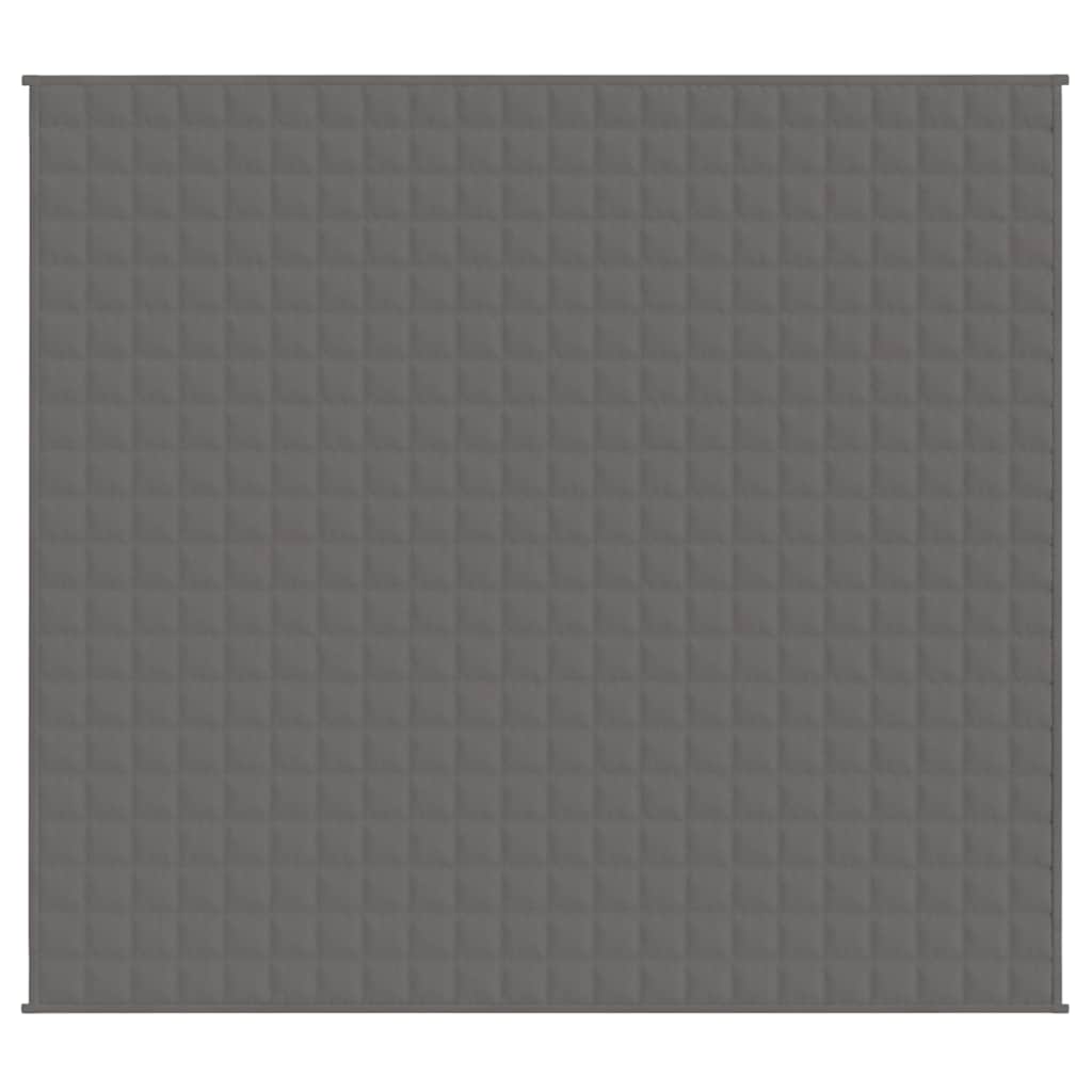 VIDAXL FAIBLAGE COUVERTURE 200X225 cm 9 kg de gris de tissu