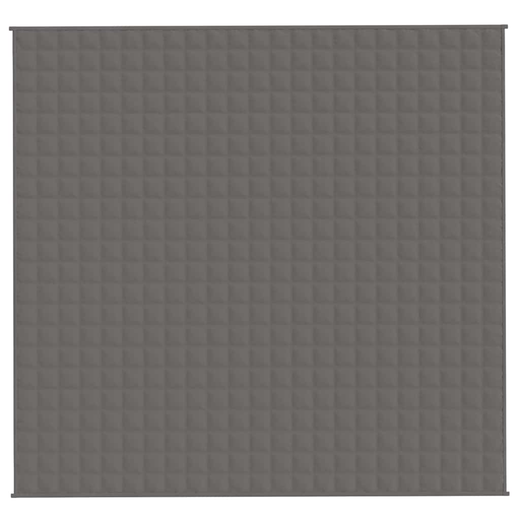 VIDAXL FAIBLAGE COUVERTURE 220X235 cm 15 kg tissu gris