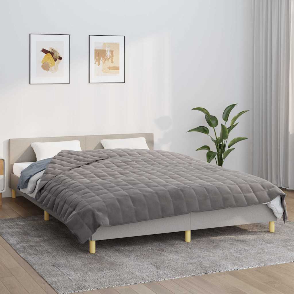 VIDAXL FAIBLAGE COUVERTURE 220X235 cm 15 kg tissu gris