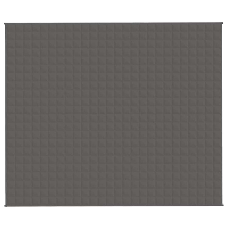 VIDAXL FAIBLAGE COUVERTURE 220X260 cm 11 kg tissu gris