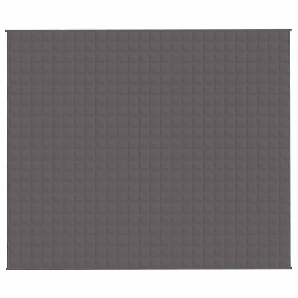 VIDAXL FAIBLAGE COUVERTURE 220X260 cm 15 kg de gris de tissu