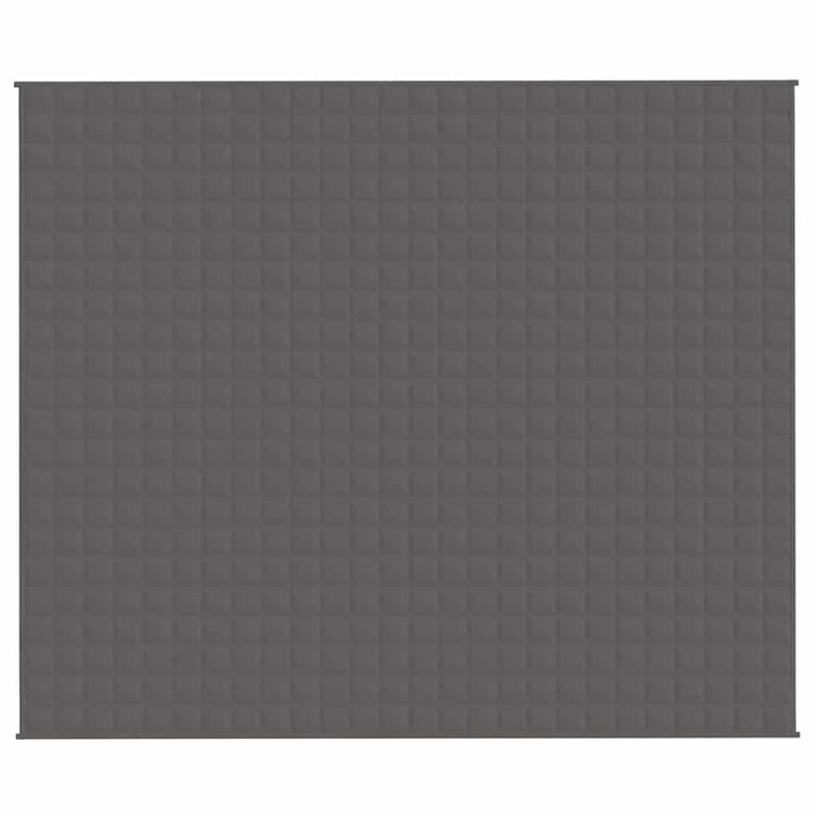 VIDAXL FAIBLAGE COUVERTURE 220X260 cm 15 kg de gris de tissu