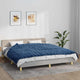 VIDAXL FAIBLAGE COUVERTURE 155X220 cm 11 kg de tissu bleu