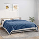 VIDAXL FAIBLAGE COUVERTURE 220X260 cm 11 kg de tissu bleu