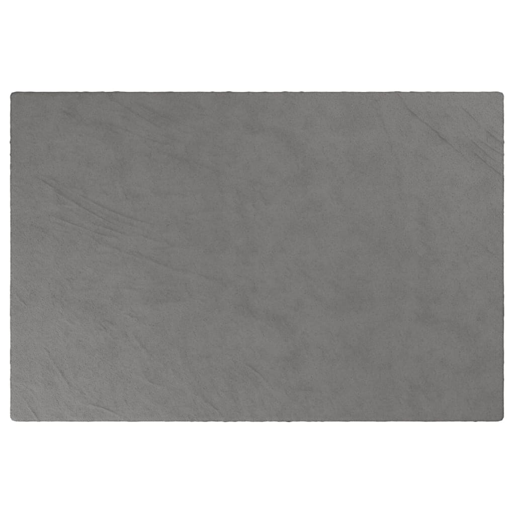 VIDAXL COUVERTURE DE FAIBLAGE AVEC COUVERTURE 120x180 cm 9 kg Fabric Gris