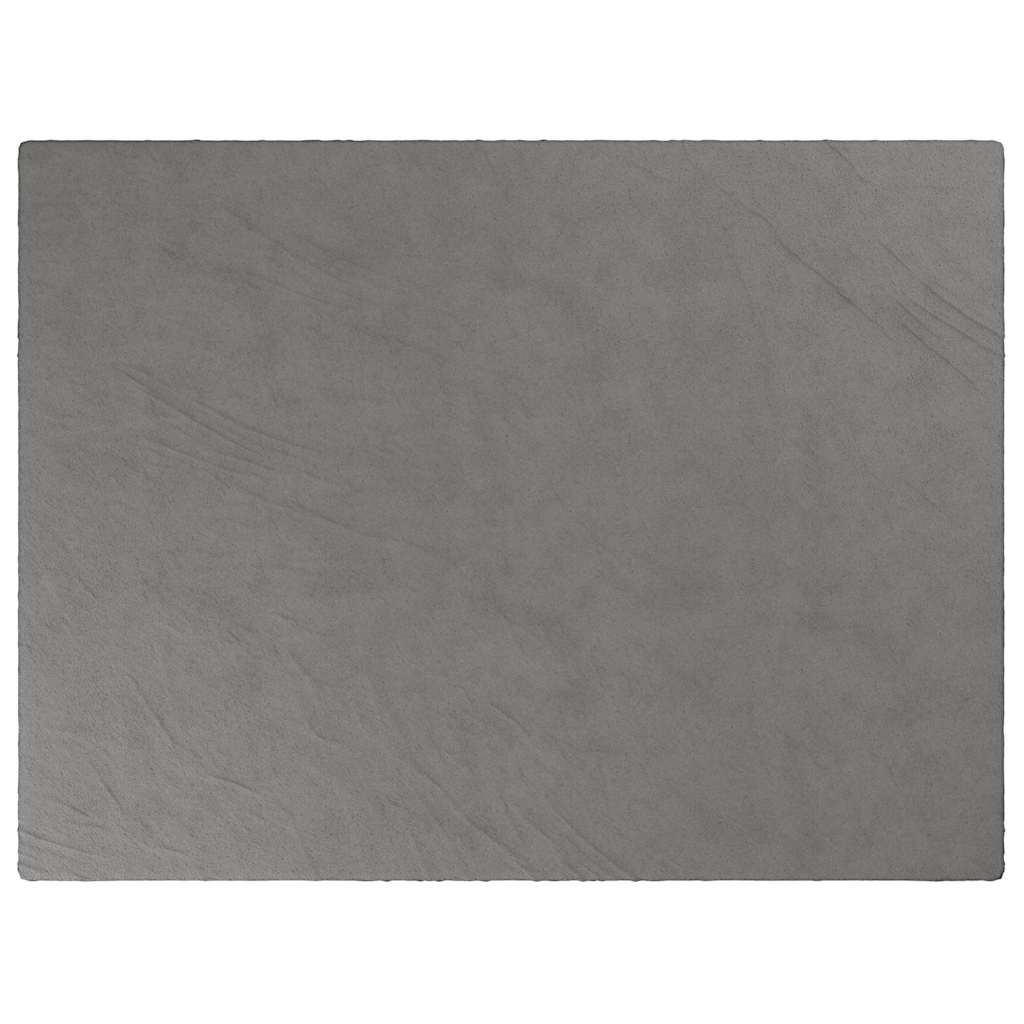 VIDAXL COUVERTURE DE FAIBLAGE AVEC COUVERTURE 150X200 CM 7 kg de gris de tissu
