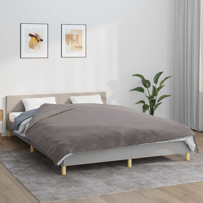 VIDAXL COUVERTURE DE FAIBLAGE AVEC COUVERTURE 200X200 CM 9 kg de gris de tissu