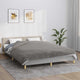 VIDAXL COUVERTURE DE FAIBLAGE AVEC COUVERTURE 200X200 CM 13 kg Fabric Gray