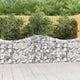Vidaxl schanskorf voûté 200x30x80 100 cm fer galvanisé