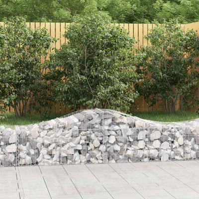 Vidaxl schanskorf voûté 200x50x40 60 cm fer galvanisé