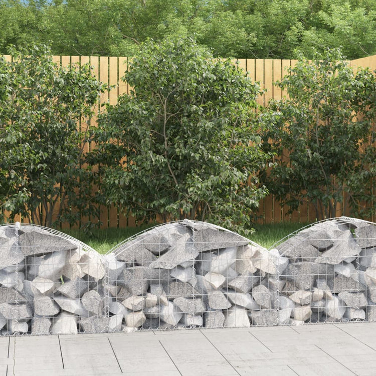 Vidaxl schanskorf voûté 100x30x40 60 cm fer galvanisé