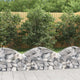 Vidaxl schanskorf voûté 100x30x40 60 cm fer galvanisé