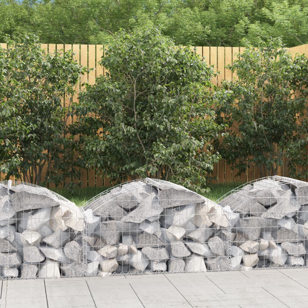 Vidaxl Schanskorf Voûté 100x50x40 60 cm fer galvanisé