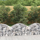 Vidaxl Schanskorf Voûté 100x50x40 60 cm fer galvanisé