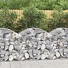 Vidaxl schanskorf Vaulté 100x50x80 100 cm fer galvanisé