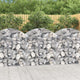 Vidaxl Schanskorf Voûté 100x50x100 120 cm fer galvanisé