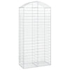 Vidaxl schanskorf Voûté 100x50x200 220 cm fer galvanisé
