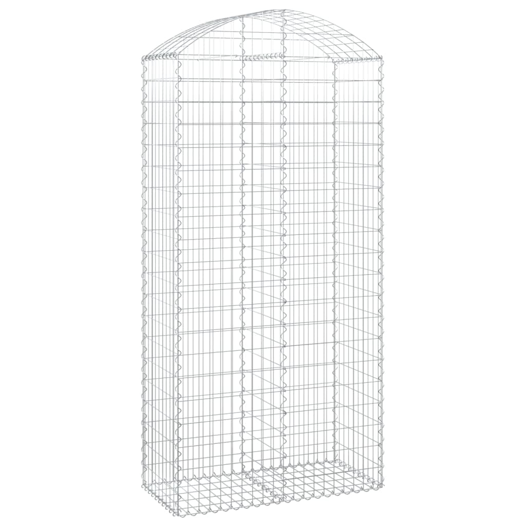 Vidaxl schanskorf Voûté 100x50x200 220 cm fer galvanisé