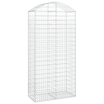 Vidaxl schanskorf Voûté 100x50x200 220 cm fer galvanisé