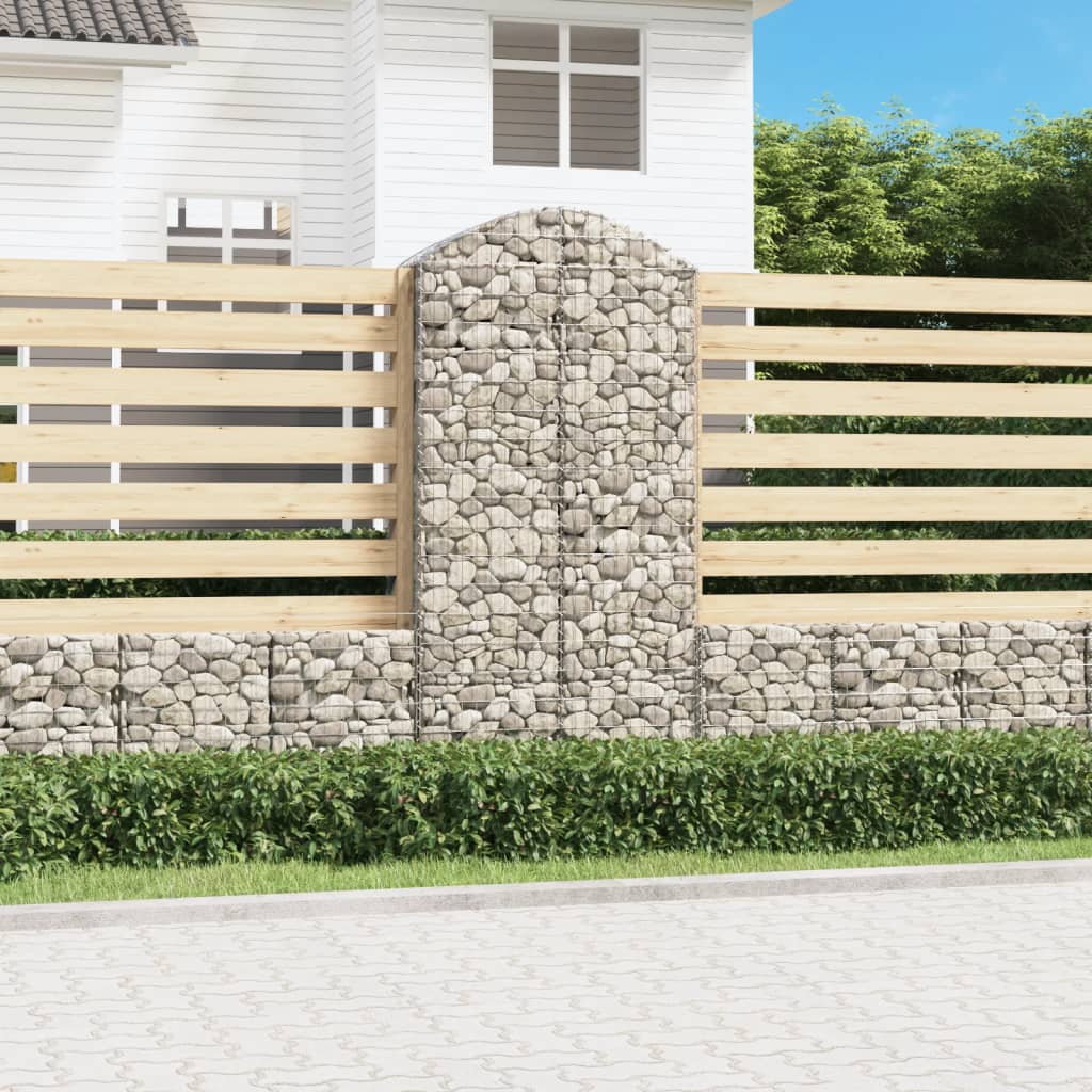 Vidaxl schanskorf Voûté 100x50x200 220 cm fer galvanisé