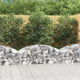 Vidaxl schanskorf Vaulté 150x50x40 60 cm fer galvanisé