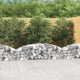 Vidaxl schanskorf voûté 200x30x40 60 cm fer galvanisé
