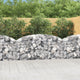 Vidaxl schanskorf voûté 200x30x80 100 cm fer galvanisé