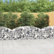 Vidaxl schanskorf voûté 200x50x60 80 cm fer galvanisé