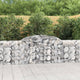 Vidaxl schanskorf voûté 300x30x80 100 cm fer galvanisé