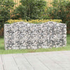 Vidaxl Schanskorf a augmenté de 200x50x100 cm fer galvanisé