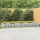 Vidaxl Schanskorf a augmenté de 400x100x50 cm de fer galvanisé