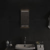 Miroir de salle de bain Vidaxx LED 20x40 cm