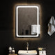 Miroir de salle de bain Vidaxx LED 60x80 cm