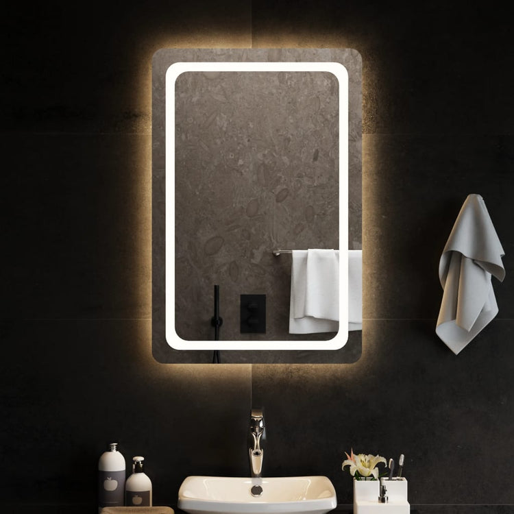 Miroir de salle de bain Vidaxx LED 60x90 cm