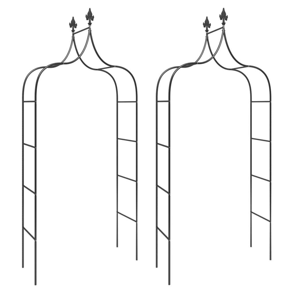Arches de jardin vidaxl 2 pcs 120x38x260 cm en acier noir