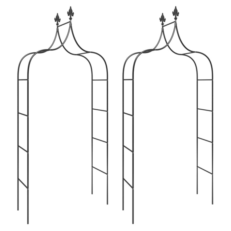 Arches de jardin vidaxl 2 pcs 120x38x260 cm en acier noir
