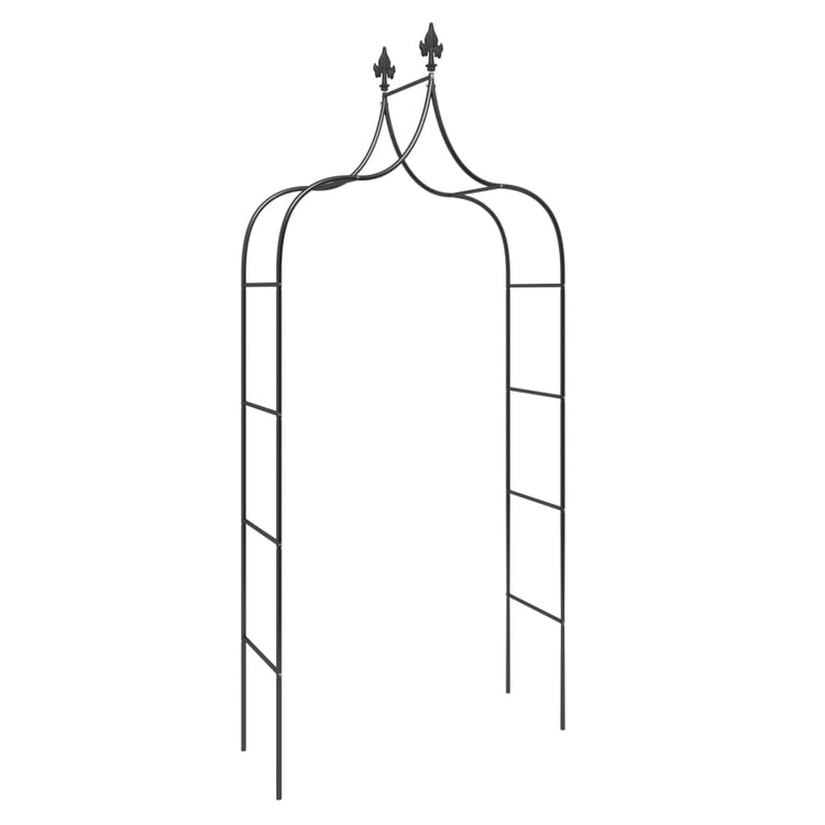 Arches de jardin vidaxl 2 pcs 120x38x260 cm en acier noir
