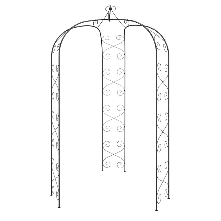 Vidaxl jardin arc Ø180x255 cm en acier noir