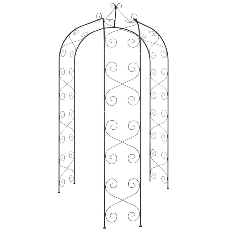 Vidaxl jardin arc Ø180x255 cm en acier noir