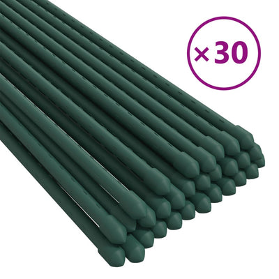 Vidaxl Plant Stakes 30 st 60 cm en acier vert